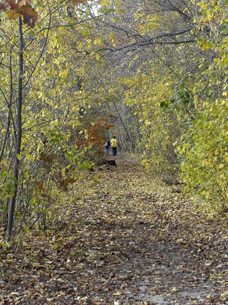 N56