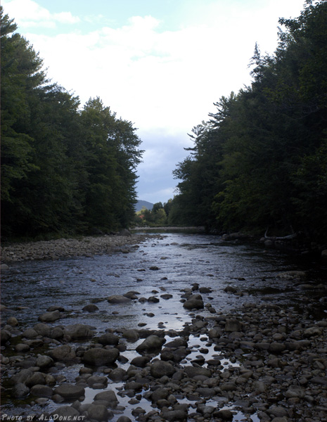 Nature01l
