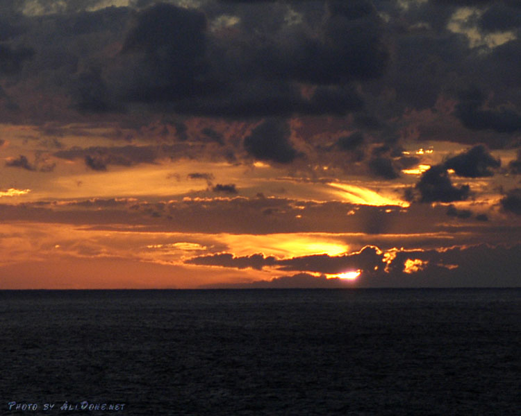 Nature05l
