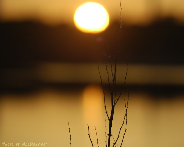 Nature11l