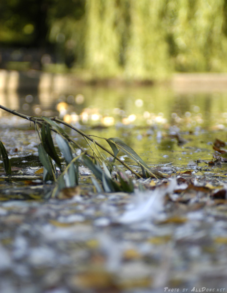 Nature13l