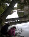 Nature02l