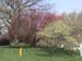 DSC00090