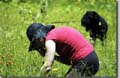 DSC_0472