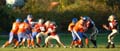 football03